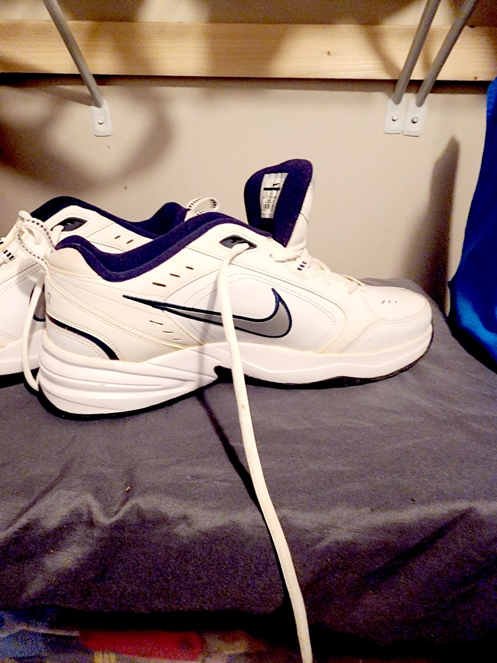 Nike Men’s White Sneakers with Navy Accents